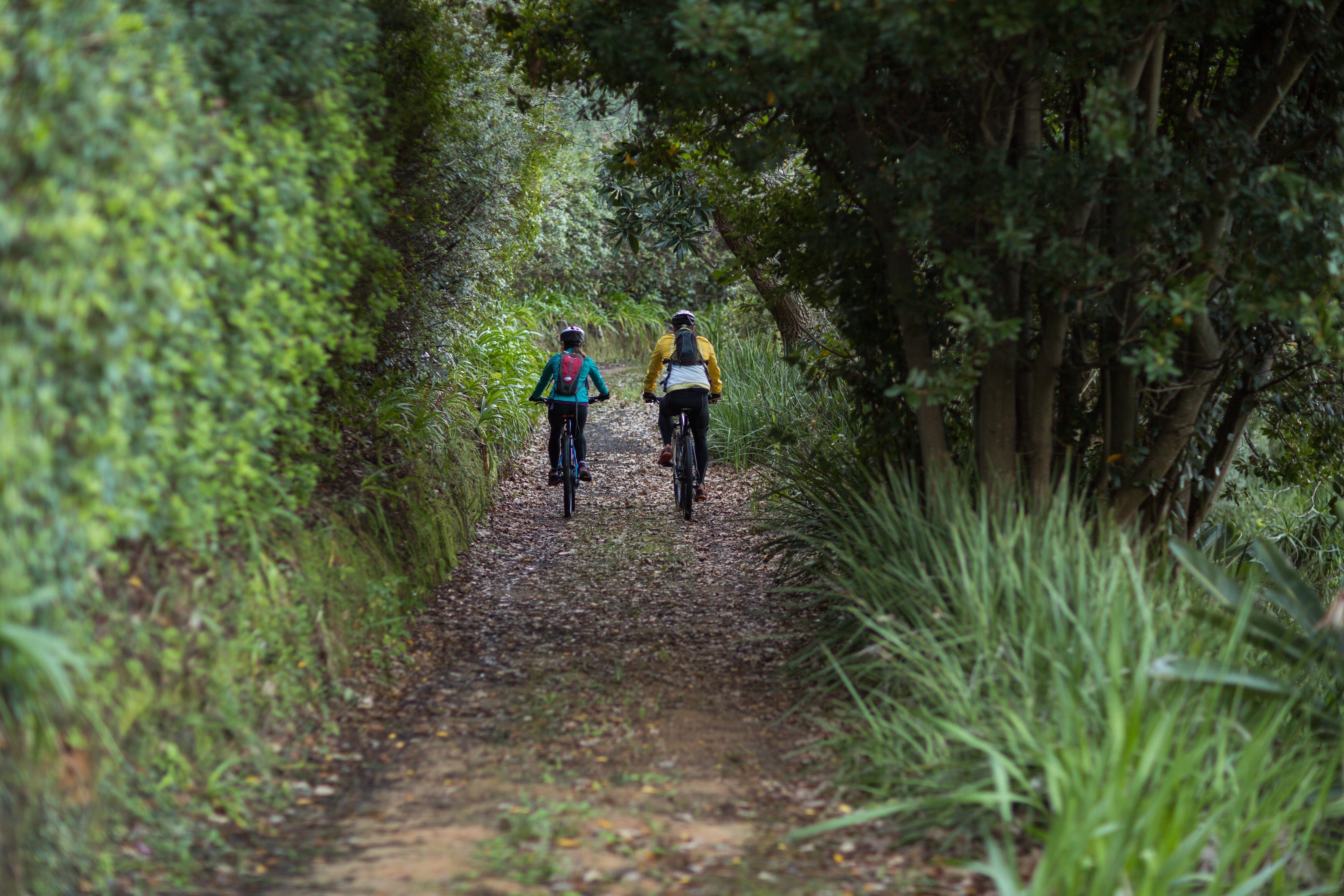 Biker couple cycling in countryside forest